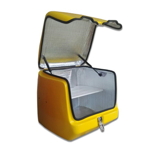 Изготовленная на заказ коробка для мотоциклов из стекловолокна FRP для скутера
